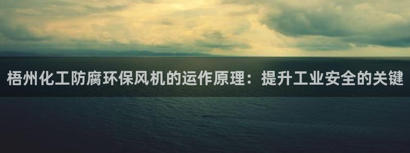 亿万先生官方网站客户端下载安装：梧州化工防腐环保风机的运作原理：提升工业安全的关键