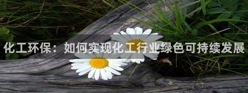 亿万先生官方网站客户端下载安装最新版：化工环保：如何实现化工行业绿色可持续发展