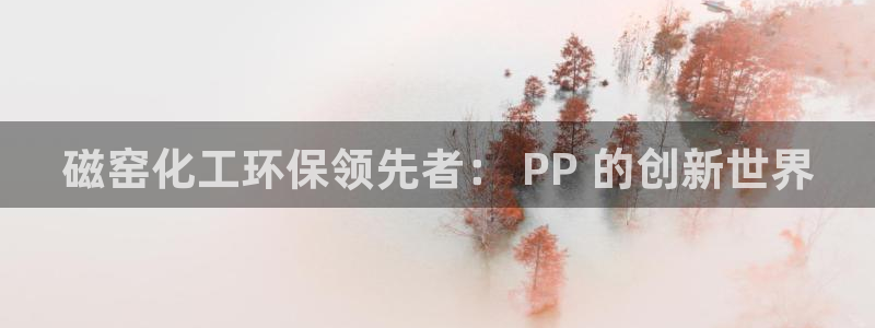 亿万网友在线实时为您解答问题：磁窑化工环保领先者： PP 的创新世界