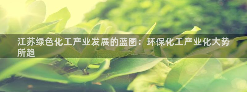 亿万集团：江苏绿色化工产业发展的蓝图：环保化工产业化大势
所趋