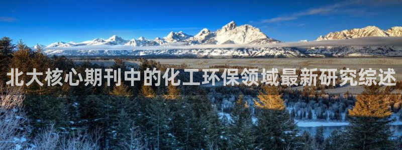 亿万先生官方网站下载安装：北大核心期刊中的化工环保领域最新研究综述