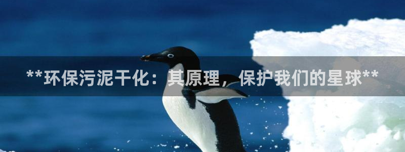 亿万先生手机客户端