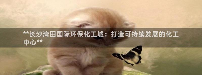 亿万剪辑：**长沙湾田国际环保化工城：打造可持续发展的化工
中心**