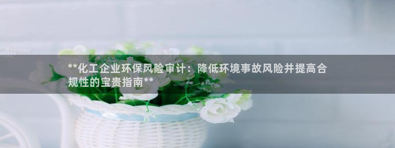 亿万红包版下载正版：**化工企业环保风险审计：降低环境事故风险并提高合
规性的宝贵指南**