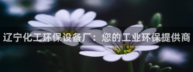 亿万先生官方登录网址：辽宁化工环保设备厂：您的工业环保提供商