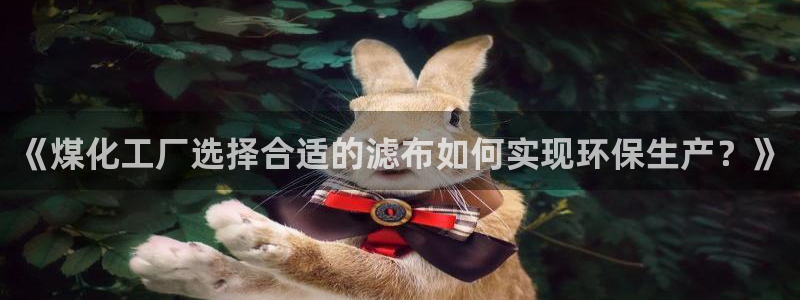 亿万国际游戏官网：《煤化工厂选择合适的滤布如何实现环保生产？》
