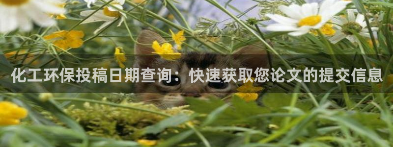 亿万下载：化工环保投稿日期查询：快速获取您论文的提交信息