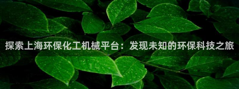 亿万网友在线实时为您解答：探索上海环保化工机械平台：发现未知的环保科技之旅