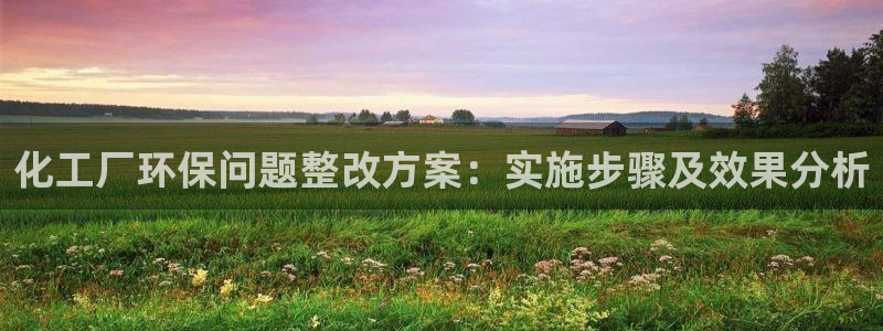 亿万先生 菲律宾：化工厂环保问题整改方案：实施步骤及效果分析