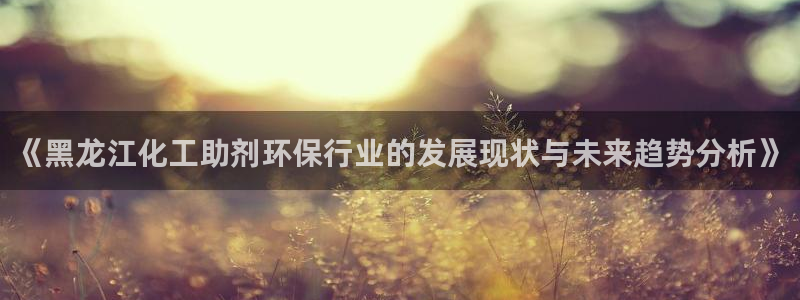 亿万剪辑：《黑龙江化工助剂环保行业的发展现状与未来趋势分析》