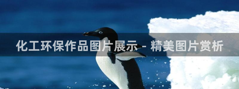 亿万网友在线实时为你解答：化工环保作品图片展示 - 精美图片赏析