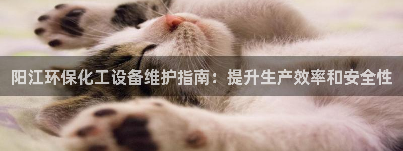 亿万先生手游下载：阳江环保化工设备维护指南：提升生产效率和安全性