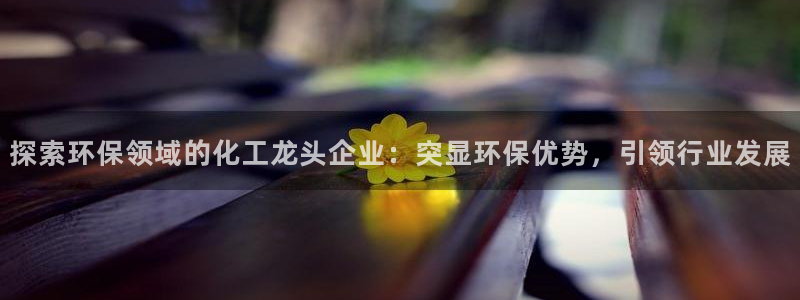 亿万网友在线实时为您解答：探索环保领域的化工龙头企业：突显环保优势，引领行业发展