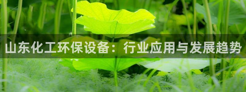亿万手游官网：山东化工环保设备：行业应用与发展趋势