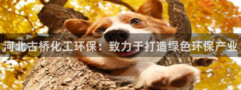 亿万视频：河北古桥化工环保：致力于打造绿色环保产业