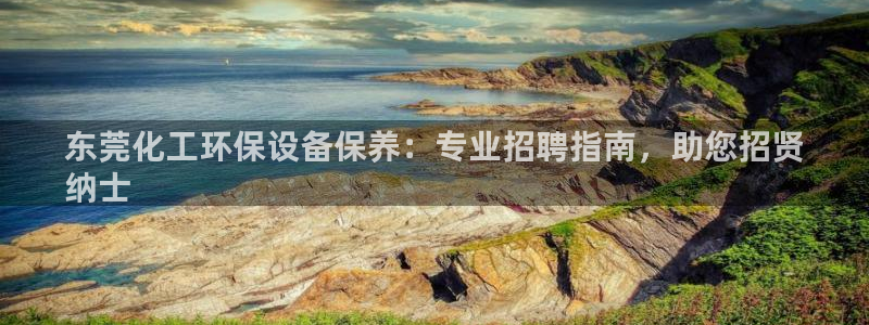 亿万网红：东莞化工环保设备保养：专业招聘指南，助您招贤
纳士