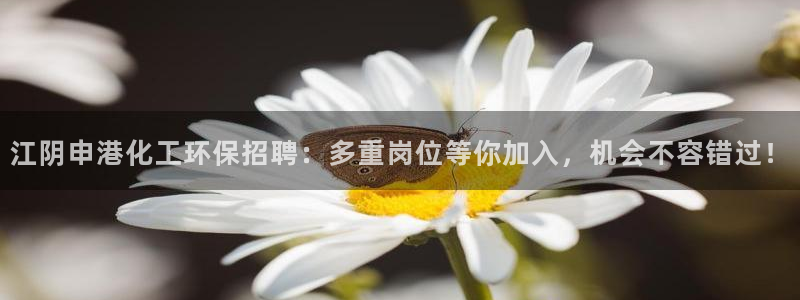 亿万讲什么：江阴申港化工环保招聘：多重岗位等你加入，机会不容错过！