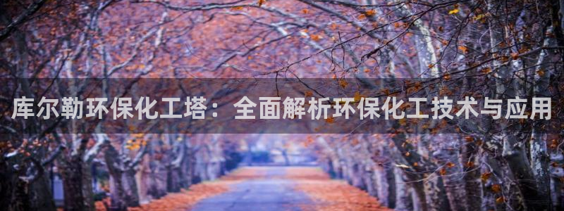 亿万先生 手机版下载最新版：库尔勒环保化工塔：全面解析环保化工技术与应用