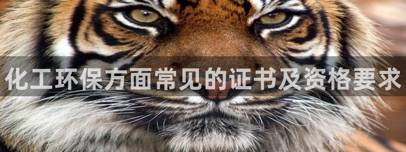 亿万网友在线实时为您解答问题：化工环保方面常见的证书及资格要求