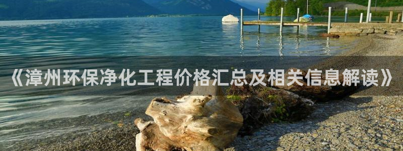 mr亿万先生：《漳州环保净化工程价格汇总及相关信息解读》