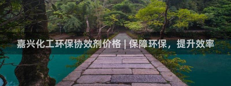 亿万先生手机客户端：嘉兴化工环保协效剂价格 | 保障环保，提升效率