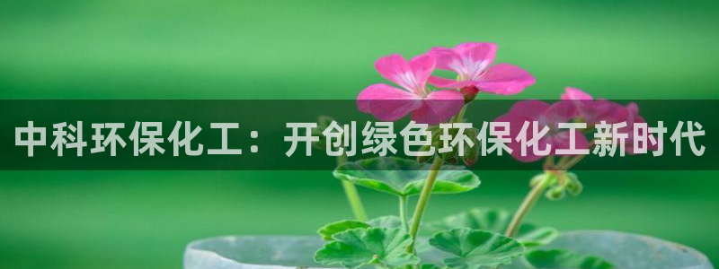 亿万28下载地址：中科环保化工：开创绿色环保化工新时代