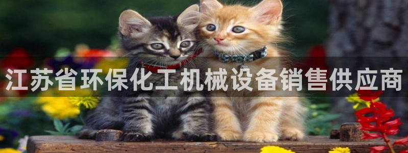 亿万先生 菲律宾：江苏省环保化工机械设备销售供应商