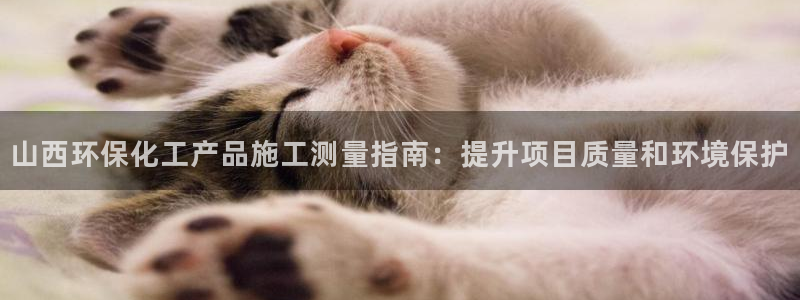 亿万先生 菲律宾：山西环保化工产品施工测量指南：提升项目质量和环境保护