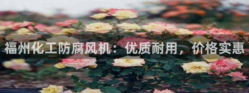 官方网站下载亿万人生：福州化工防腐风机：优质耐用，价格实惠