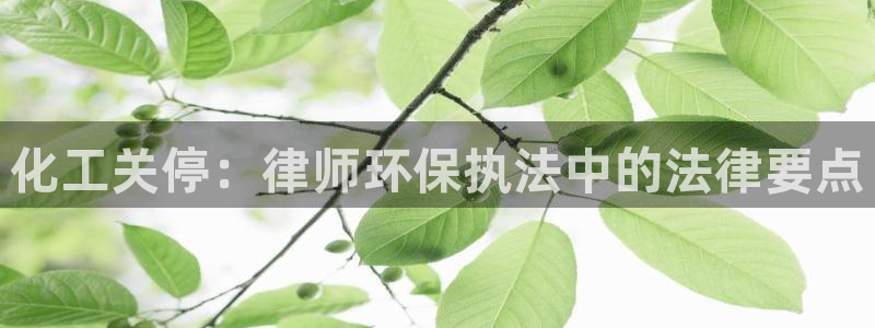 亿万先生mr网址：化工关停：律师环保执法中的法律要点