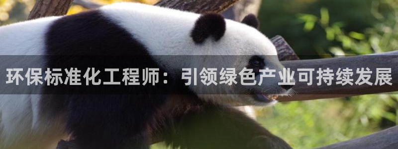 亿万下载：环保标准化工程师：引领绿色产业可持续发展