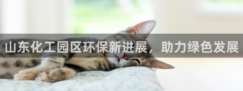 亿万手游官网首页：山东化工园区环保新进展，助力绿色发展