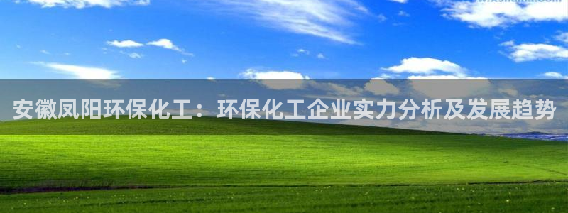 亿万先生官方网站下载手机版：安徽凤阳环保化工：环保化工企业实力分析及发展趋势