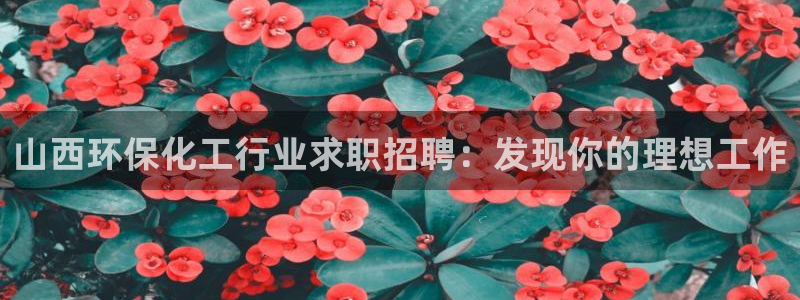 mr8001亿万先生：山西环保化工行业求职招聘：发现你的理想工作