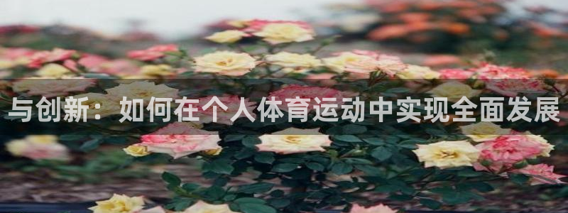 球速体育：与创新：如何在个人体育运动中实现全面发展