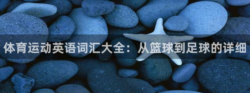 球速体育：体育运动英语词汇大全：从篮球到足球的详细