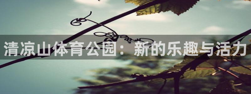 球速体育：清凉山体育公园：新的乐趣与活力