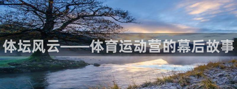 球速体育：体坛风云——体育运动营的幕后故事