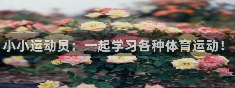 球速体育：小小运动员：一起学习各种体育运动！