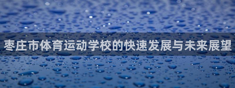 球速体育：枣庄市体育运动学校的快速发展与未来展望