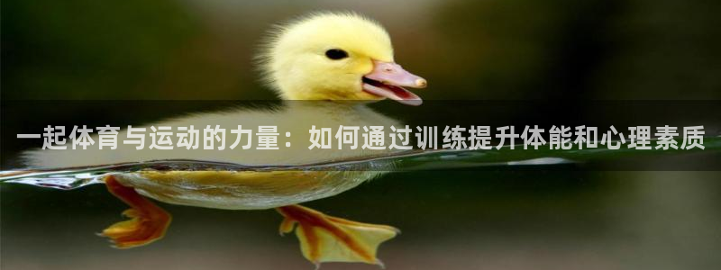 球速体育：一起体育与运动的力量：如何通过训练提升体能和心理素质