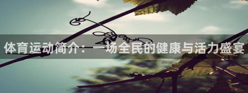 球速体育：体育运动简介：一场全民的健康与活力盛宴
