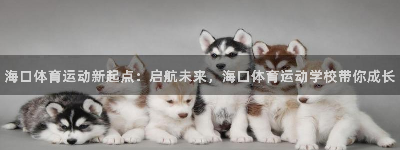 球速体育：海口体育运动新起点：启航未来，海口体育运动学校带你成长