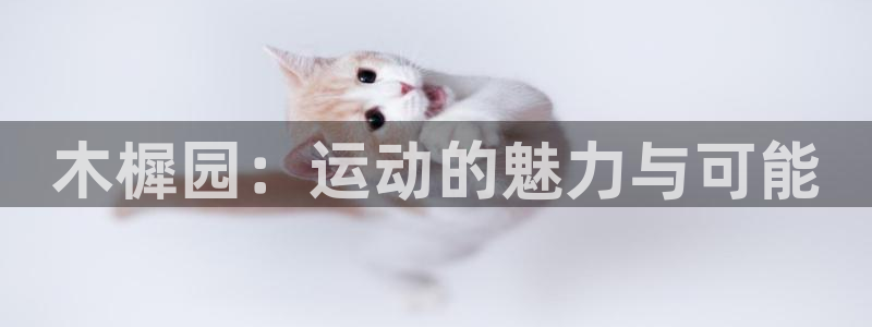 球速体育：木樨园：运动的魅力与可能