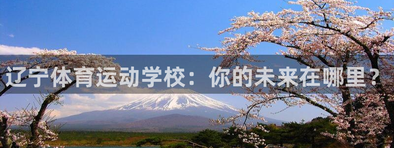 球速体育：辽宁体育运动学校：你的未来在哪里？