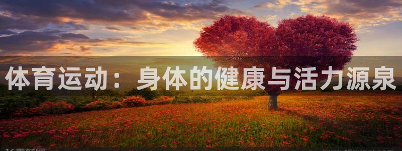球速体育：体育运动：身体的健康与活力源泉