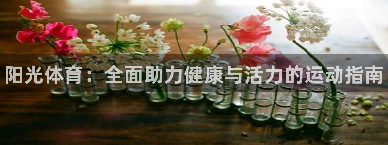 球速体育：阳光体育：全面助力健康与活力的运动指南