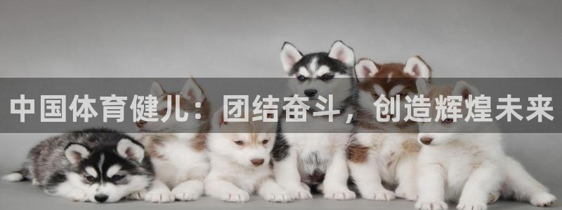 球速体育：中国体育健儿：团结奋斗，创造辉煌未来