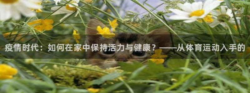 球速体育：疫情时代：如何在家中保持活力与健康？——从体育运动入手的