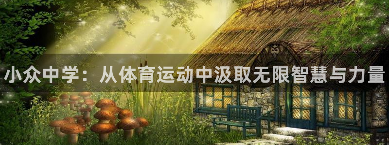 球速体育：小众中学：从体育运动中汲取无限智慧与力量